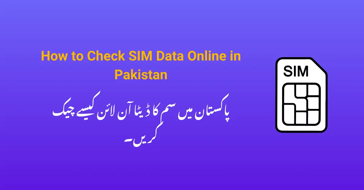 How to Check SIM Data Online in Pakistan
